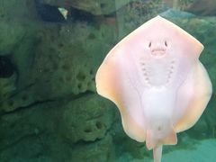 -珠海长隆海洋王国