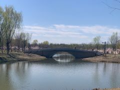-东郊湿地公园