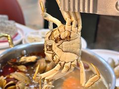 -苏格里岛自助烤肉海鲜火锅(成都金牛万达店)