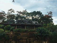-中国科学院西双版纳热带植物园