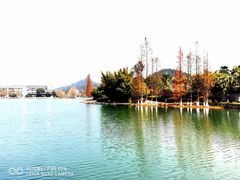 -明月山天沐温泉度假村