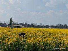 -中国天府农业博览园