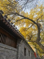 -Lisamoon礼慕纱婚纱礼服高级定制