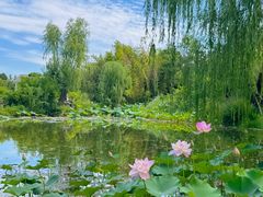 -郑州植物园