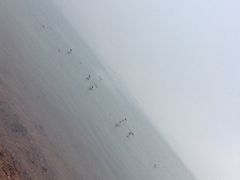-栈桥景区