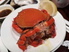 -广州万富希尔顿酒店-感趣自助餐厅·生蚝海鲜刺身