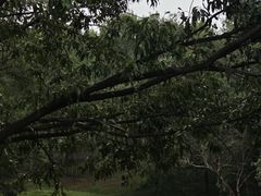 -合肥野生动物园