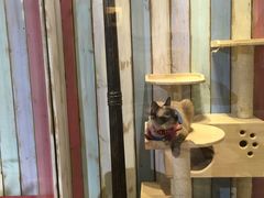 -小时光咖啡馆(开森度假森林店)
