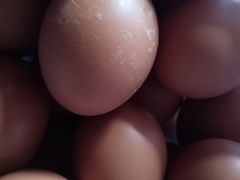 -国商百货(卫星广场店)