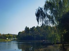 -长广溪湿地公园