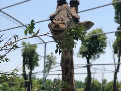 -常州淹城野生动物世界