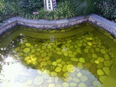 -杭州第一世界大酒店·云曼温泉