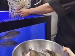 -太二酸菜鱼(石家庄万象城店)