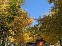 -虞山风景区
