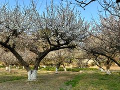 -白马涧龙池景区