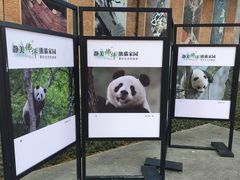 -西安电影制片厂