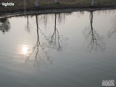 -白塘生态植物园