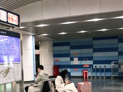 -大望路(地铁站)