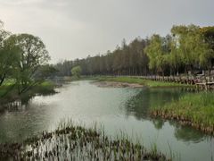 -苏州太湖湖滨国家湿地公园