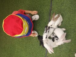 -萌宠亲子动物乐园(槐房万达店)