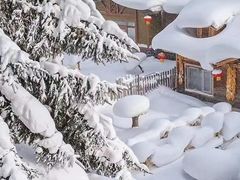-亚布力新体委滑雪场