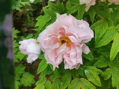 -幕燕滨江·长江观音景区