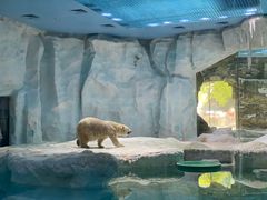 -珠海长隆海洋王国