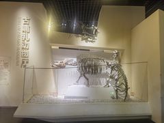 -国家自然博物馆