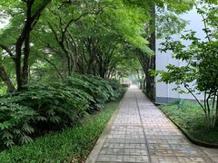 -上海市保健医疗中心