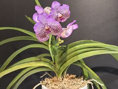 -北京植物园-展览温室