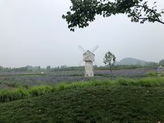 -北京东方普罗旺斯薰衣草庄园