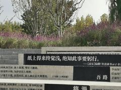 -上海山野camping·户外天幕烧烤·团建拓展营地