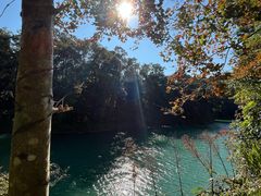 -广州市流溪河国家森林公园