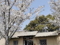 -苏州吴中太湖旅游区