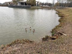 -西安浐灞国家湿地公园