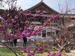 -西安青龙寺遗址景区