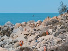 -广东惠东海龟国家级自然保护区