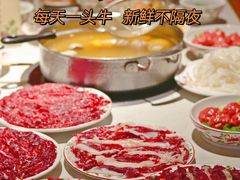-汕头八合里海记牛肉店(清河店)