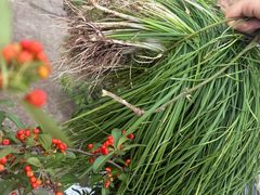 -金堂县云顶石城风景区