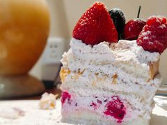 -EnergyCake蛋糕理想国