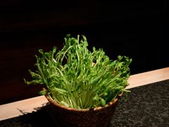 -三出山火锅(万象天地店)