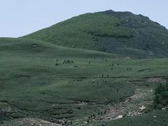 -灵山