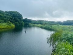 -济州森林小火车生态公园