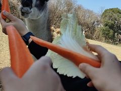 -常州淹城野生动物世界