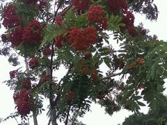 android_upload_pic-金石唐风国际温泉会馆