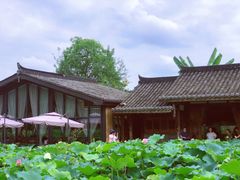 -莫催咖啡