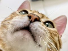 -北京博爱动物医院有限公司