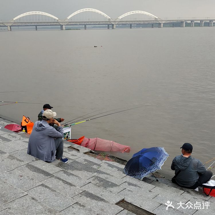冒雨去探查鱼市搬迁进度