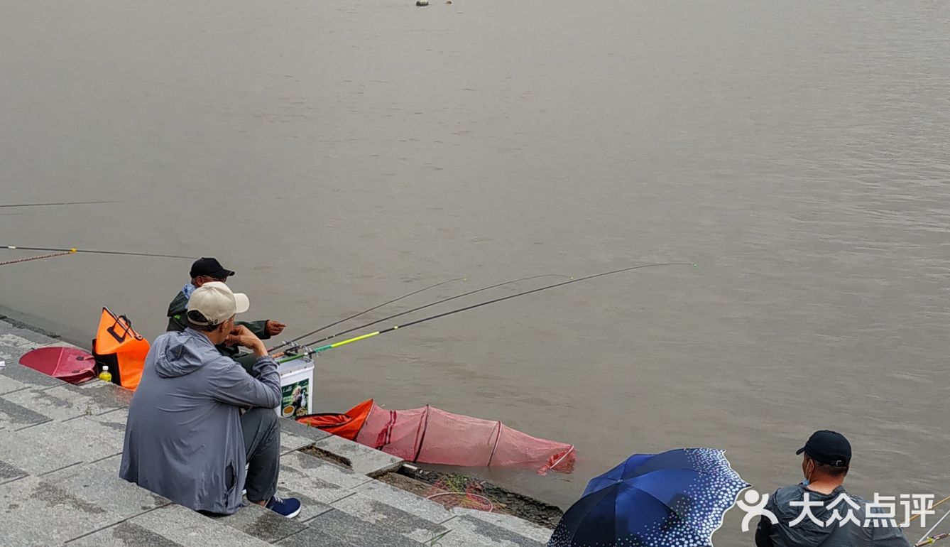 冒雨去探查鱼市搬迁进度