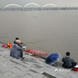 冒雨去探查鱼市搬迁进度